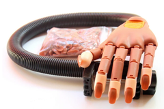 Manicure - Nail Training Hand